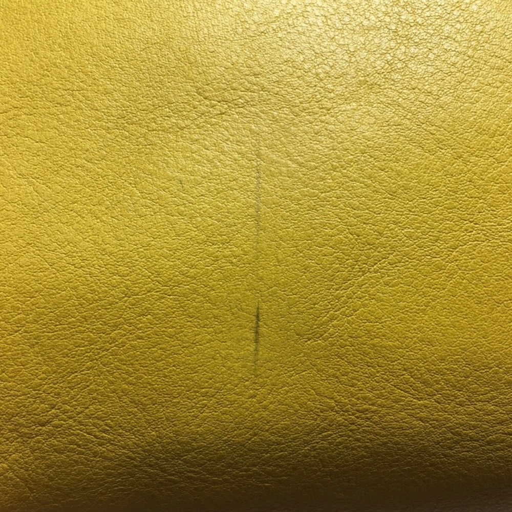 Dooney & Bourke Florentine Sunflower Satchel - Picture 12 of 12